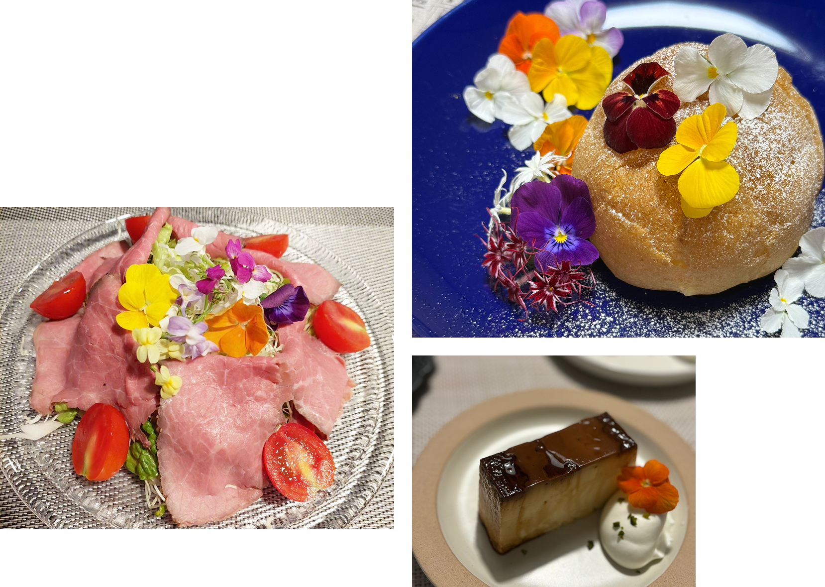 可憐で食べれるお花エディブルフラワーとは？